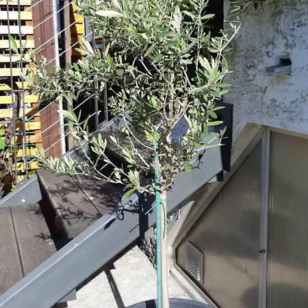Appartamento Apartma Bolero *