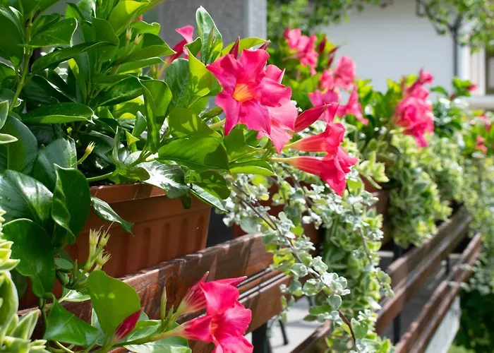 公寓 Apartma Bolero