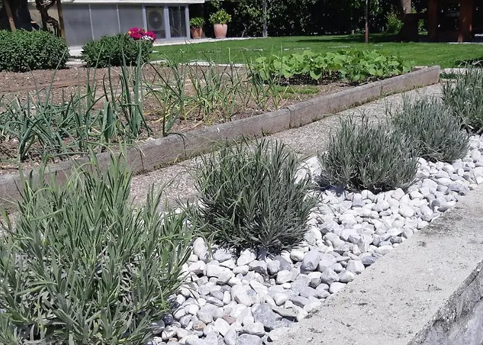 Apartma Bolero 托尔明