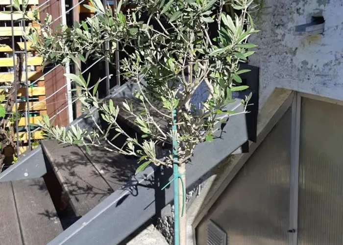 公寓 Apartma Bolero *